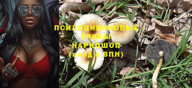 Галлюциногенные грибы MAGIC MUSHROOMS  МЕГА ссылка  Харовск  сколько стоит 